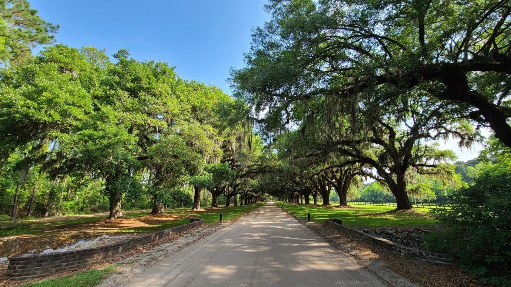 Boone Hall Plantation