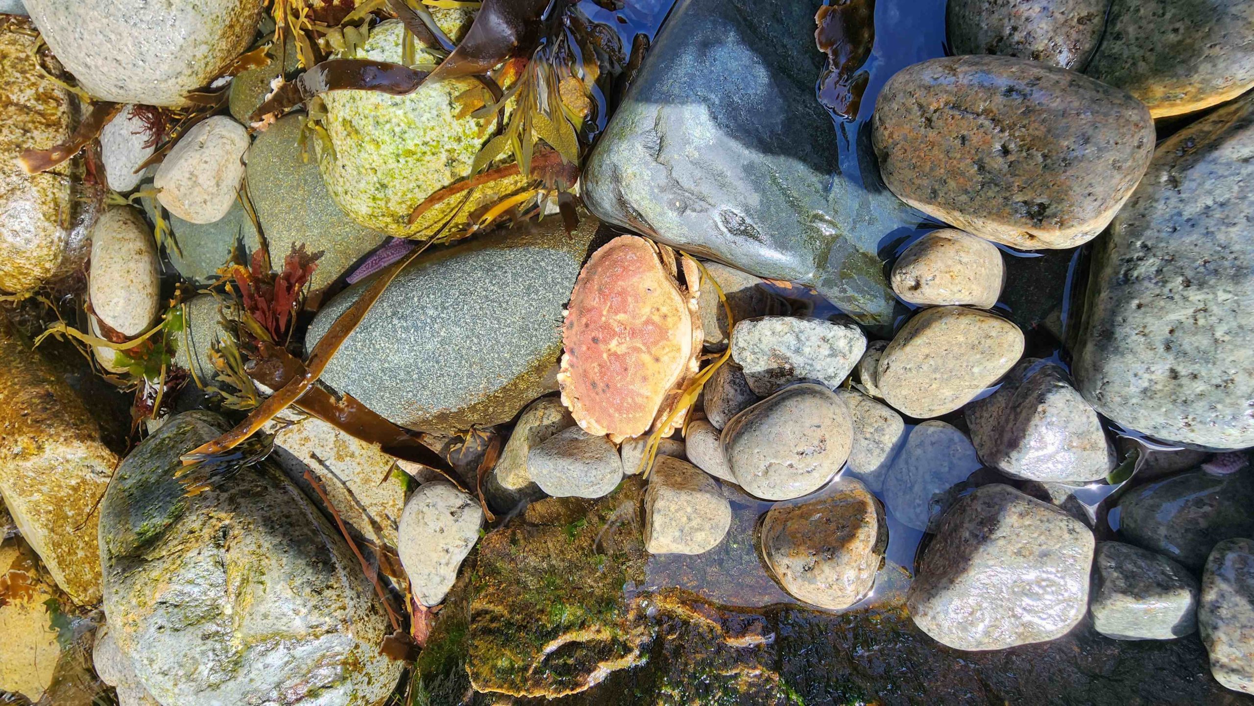 Schoodic Peninsula