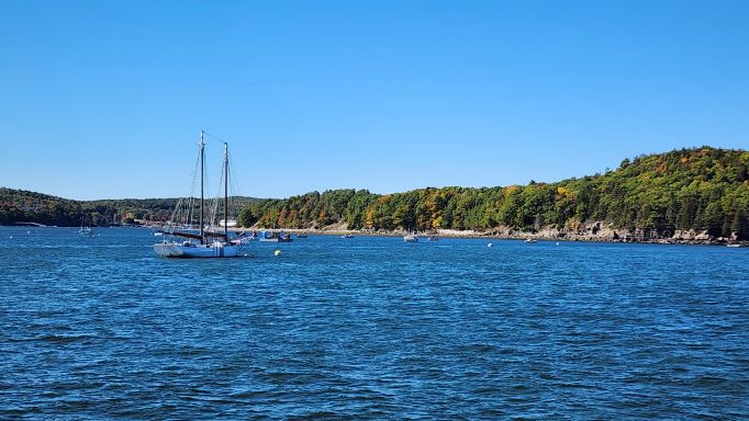 Harbor Cruise