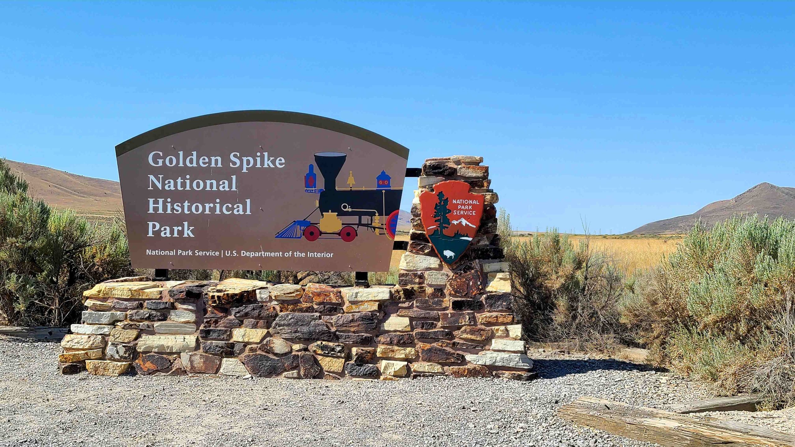 GOLDEN SPIKE