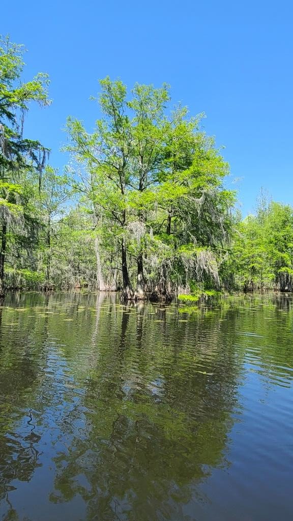 Kayak Charleston