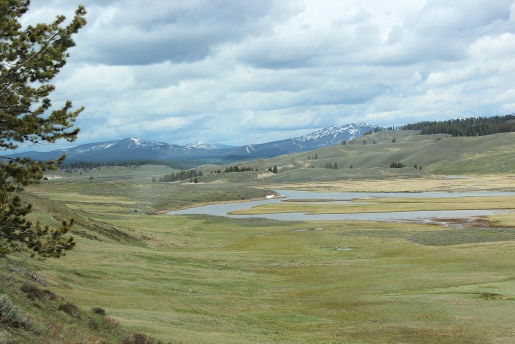 YELLOWSTONE