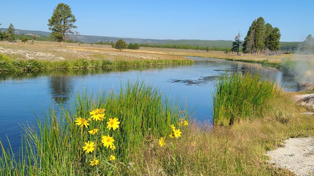 Sentinel Meadows and Firehole Lake Loop